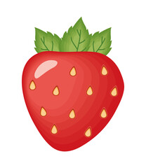 Isolated strawberry fruit