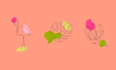 Seth tropics. The illustrations are made in the style of a one line. Wild tropical flower, pink flamingo, monstera leaf. Icons, logos © Irina