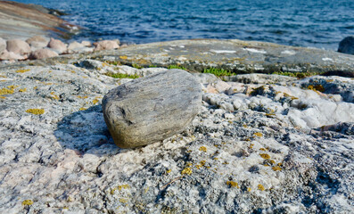 Rock and pebble smoothened by ice age and waves