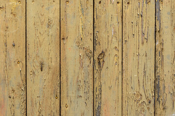Old wooden plank surface with visible nails and pieces of faded green paint falling off.
