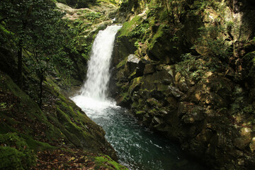 徳島県海陽町　轟九十九滝　横見滝