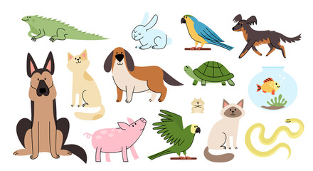 Vector cartoon flat set of home animal pets - 441208550