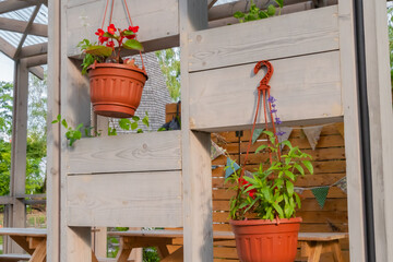 Fototapeta na wymiar Flowerpots with colorful flowers hanging on wooden decoration at garden, park. Decoration, design, spring and botanical concept