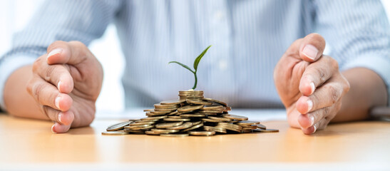 Asian businessman hand protecting plant sprouting growing on pile of coins on the table while...