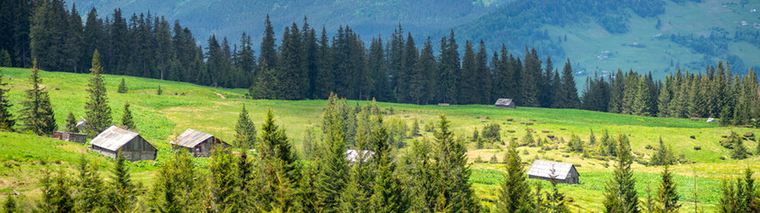 Fototapeta na wymiar Panorama of the Carpathian mountains at the beginning of summer in Ukraine, rest and travel in the mountains