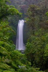 Fototapeta premium La Paz Waterfalls