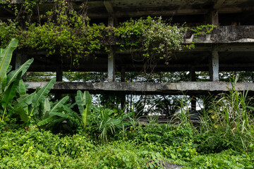 Fototapeta premium old building with plants