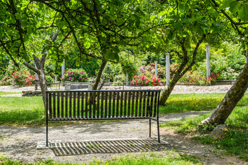 Seatac Bench And Garden 2