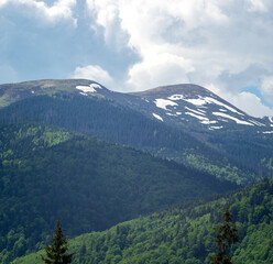 Panorama of the Carpathian mountains at the beginning of summer in Ukraine, rest and travel in the mountains