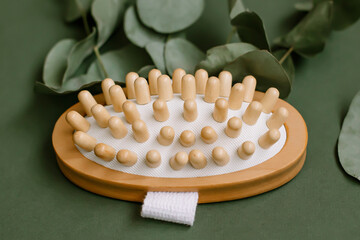 Massage brush on a green background Wooden eco-friendly body Eucalyptus plant