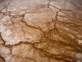 Interesting Ground Texture in Grand Prismatic Spring, Yellowstone