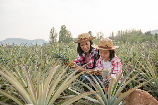 Asian farmer have mother and daughter see growth of pineapple in farm and save the data to farmer checking list in her clipboard, Agricultural Industry Concept,family farmer working in pineapple farm
