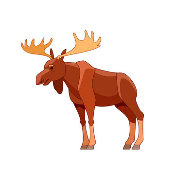 Moose or Elk, Alces alces. Beautiful animal in the nature habitat side view. Wildlife scene. Cartoon character vector flat illustration isolated on a white background