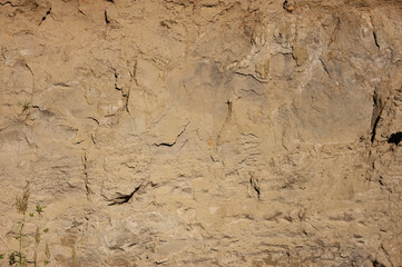 The texture of Mars. Rough and gentle stingrays.