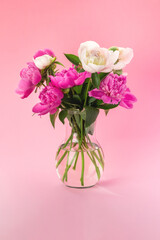 Bouquet of pink and white peonies in a glass vase on a pink background. Floral card design