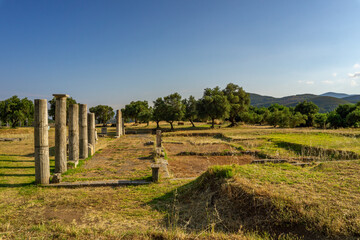 Fototapeta na wymiar Ruins in the Ancient Messene archeological site, Peloponnese, Greece. One of the best preserved ancient cities in Greece with visible remains dating back further than the 4th century BC.