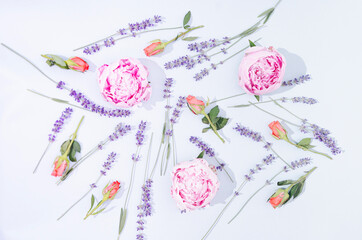 Obraz premium A romantic floral background made of coral roses, pink peonies and fresh lavender. Spring or summer floral pattern.