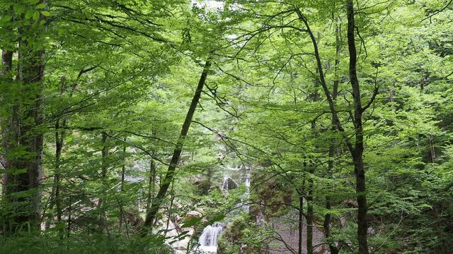 Rottach-Wasserf&auml;lle zwischen Enterrottach und Valepp richtung Sutten. Wasserfall mit den Fallstufen und der gro&szlig;en Gumpe. Das gesamte Gebiet rund um den Rottachfall ist stark bewaldet