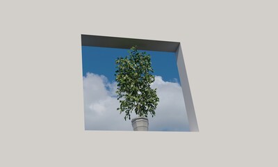Potted plants in a square frame 3d rendering