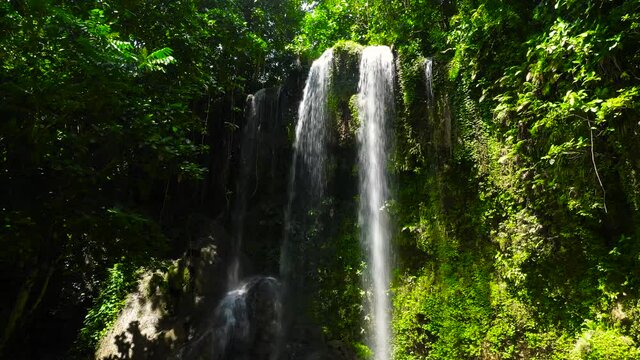 Waterfall in the green forest. Kawasan falls in the jungle, island of Bohol, Philippines.