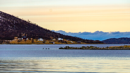 altes Haus am Ufer des Fjord an einem stürmischen Tag in Troms, in der Nähe von Tromsö,...