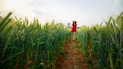 Happy young asian beautiful woman wearing red dress enjoying herself walking in the barley farm