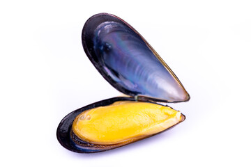 Half-opened mussel shell fish on white background