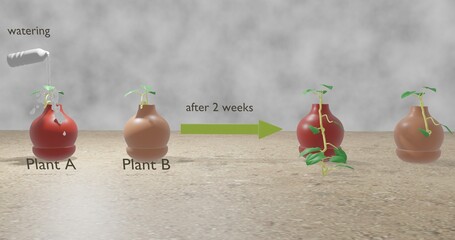 importance of water in the plant growth in 3D illustration.
