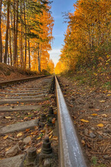 Naklejka na ściany i meble Abandoned railway tracks in autumn forest. Colorful autumn landscape with orange and yellow leaves. Fall forest or nature park