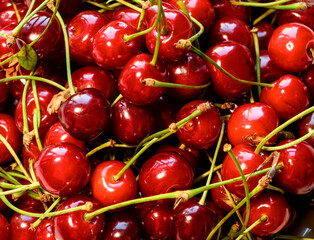 cherry background