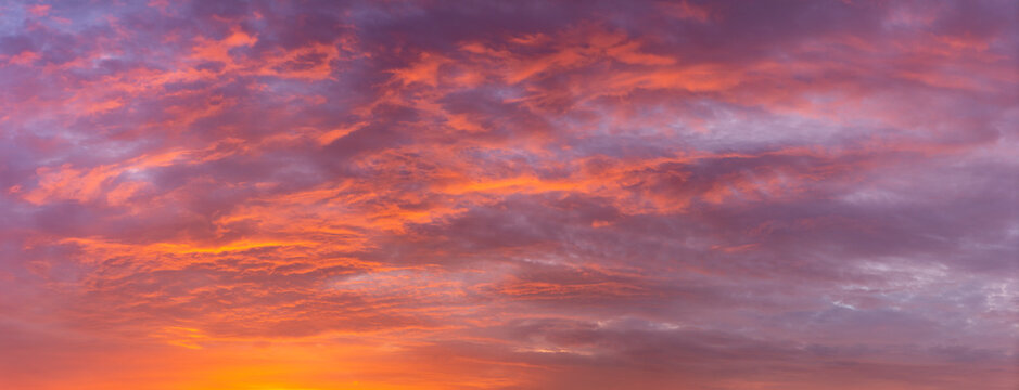 Vibrant dramatic panorama of cloud blanket texture and detail brightly colorful lit up orange from below at sunset with blue tints in the background. Painterly weather condition wallpaper backdrop. © Maarten Zeehandelaar