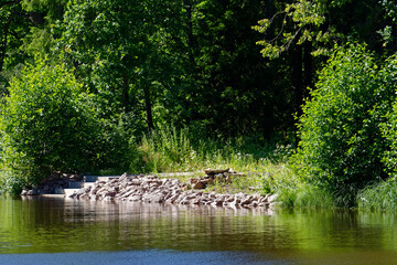 Stone steps on a rocky shore, descending to the water of a small pond in the Monrepos Park in the...