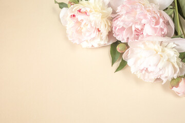 Three large beige-pink peony flowers on light paper background with space for text. Image for design of greeting cards on theme of wedding, Mother's Day, birthday and other greetings
