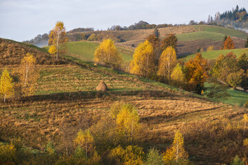 Morning foggy clouds in autumn mountain countryside.  Ukraine, Carpathian Mountains, Transcarpathia.