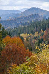 Morning foggy clouds in autumn mountain countryside.  Ukraine, Carpathian Mountains, Transcarpathia.