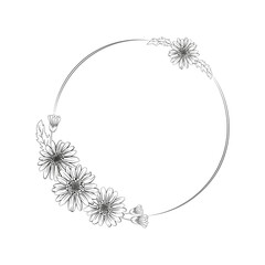 Daisy flower wreath, isolated line art illustration