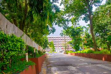 Fototapeta premium Landscape photographs of University of Lagos, Akoka, Nigeria showing trees, black and white landscape portraits and beautiful green grass and skies. no people in the image. 