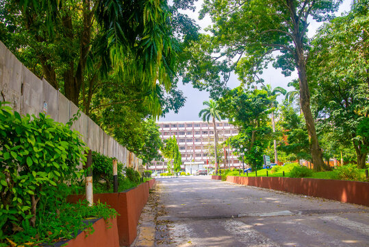 Landscape photographs of University of Lagos, Akoka, Nigeria showing trees, black and white landscape portraits and beautiful green grass and skies. no people in the image. 