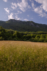 Fototapeta premium Sunny day in nature, meadow with tall grass, rocky mountains and clouds in the blue sky. 