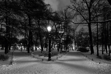 Landscapes of the parks of St. Petersburg in winter. 