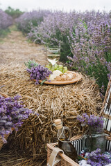 Summer picnic with wine and cheese in the lavender field, outdoors, sunset natural light.