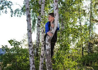 The boy climbed a birch tree in the summer forest.