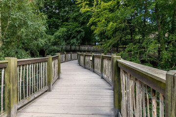Long wooden bridge with railings, large trees.