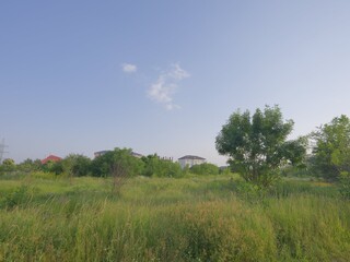 Fototapeta na wymiar green landscape under blue sky with silver clouds