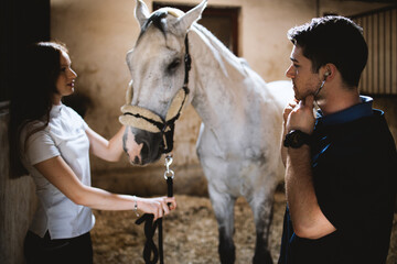 Vet checking horse's health before riding.