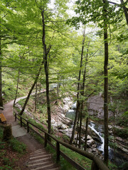Rottach-Wasserf&auml;lle zwischen Enterrottach und Valepp richtung Sutten. Wasserfall mit den Fallstufen und der gro&szlig;en Gumpe. Das gesamte Gebiet rund um den Rottachfall ist stark bewaldet