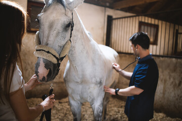 Vet checking horse's health before riding.