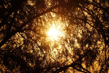 Detalles de atardecer