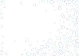 Soap bubbles flew randomly on a white background. Vector