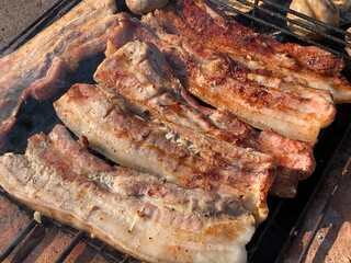 Grilled meat. The process of cooking meat on fire. Barbecue. Rest on weekends.